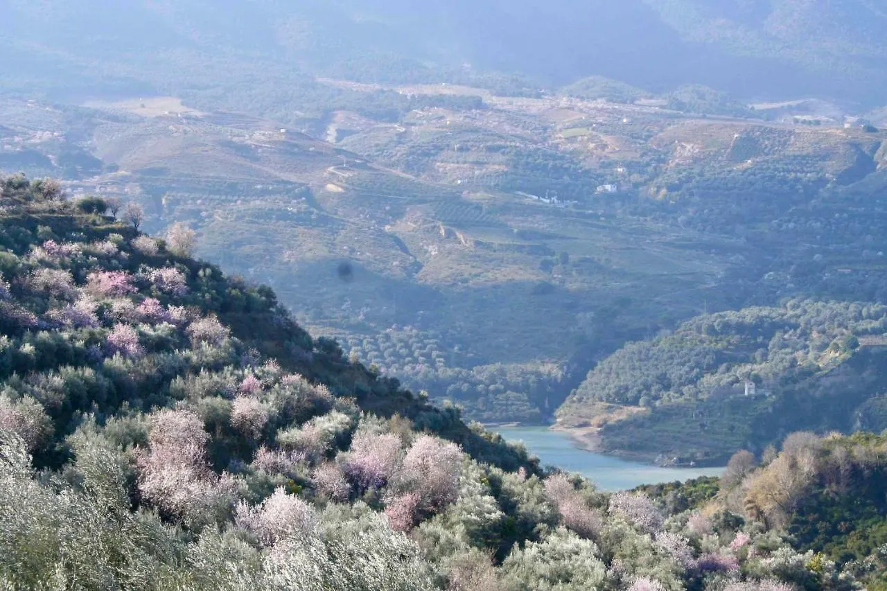 Retreat Cottage For 2 In El Valle De Lecrin Melegis